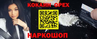 кокс Кингисепп
