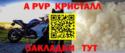 кокс Кингисепп
