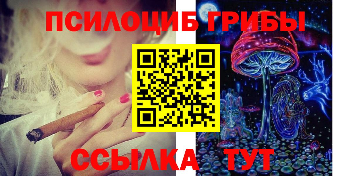 Киров  Галлюциногенные грибы прущие грибы  Вход с VPN 